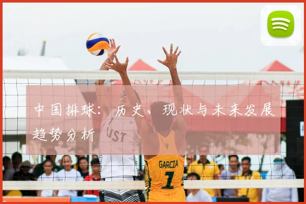 中国排球：历史、现状与未来发展趋势分析