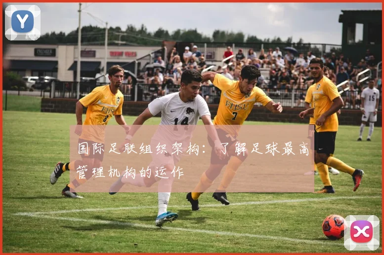 国际足联组织架构：了解足球最高管理机构的运作