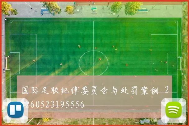 国际足联纪律委员会与处罚案例_20260523195556